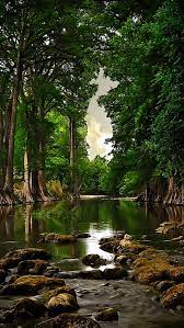 Pin Di Nature Photos