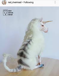 Striped Unicorn Art Unicorn Animals