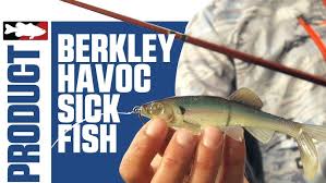 1.404 resep pindang ikan patin ala rumahan yang mudah dan enak dari komunitas memasak terbesar dunia! Using Berkley Powerbait Ripple Shad 5 Cm Youtube