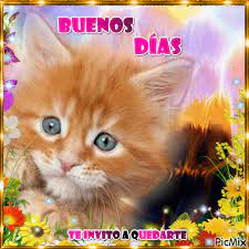 Buenos Días - PicMix