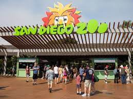 San Diego Zoo Tickets Prices Discounts Animals And Shows To See