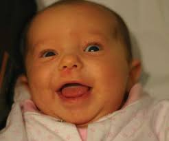 Science Briefs archive