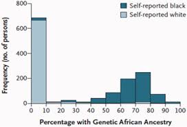 United states military academy diversity racial demographics. Medicine Anti Realism And Ideology Variation In Medical Genetics Does Not Show That Race Is Biologically Real
