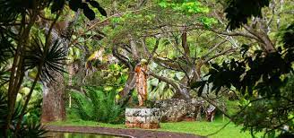 Allerton Garden National Tropical Botanical Garden Tropical Garden Large Planters Botanical Gardens