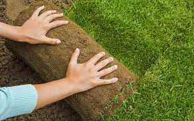 What you'll pay for lawn services typically ranges from $100 to $500. 2021 Lawn Service Prices Hourly Weekly Monthly Lawn Mowing Cost