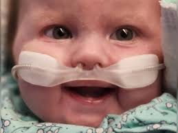 Chloé Olivia Dahn's Obituary