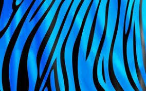 Blue Zebra Background Zebra Print Background Cheetah Print Wallpaper Zebra Print Wallpaper