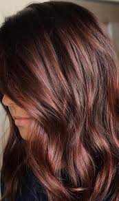 35 Hottest Fall Hair Colour Ideas For All Hair Types 2019 Colour Fall Fallhaircolorsidea Hair Color Auburn Fall Hair Fall Hair Colors