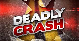 Crash kills 2 in McDonald County