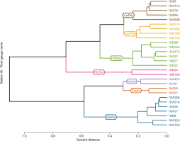 John kijazi is a member of vimeo, the home for high quality videos and the people who love them. Hydrologic Classification Of Tanzanian Rivers To Support National Water Resource Policy Olden Ecohydrology Wiley Online Library