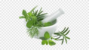 For example, pakistan, land of the pakis. Pharmaceutical Drug Yunani Medicine Ayurveda Herbalism Plants Traditional Chinese Medicine Herbal Png Pngegg