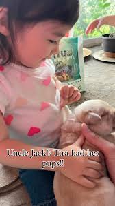 Are you as smitten as we are!??? Puppies have arrived!! We are in the midst  of early training. And the niece and nephews have come to socialize them!!!  Uncle Jack loves his dogs. , Read his story