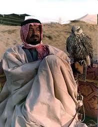 للبيع صقر الباز جبلي محنط منتديات مكشات Saudi Arabia Culture Saudi Men Arab Culture