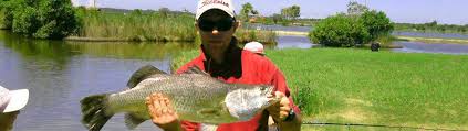 Things to do near bli bli barra fishing park. Bli Bli Barra Fishing Park Barramundi Park Sunshine Coast