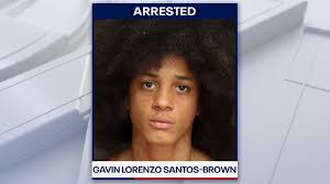 14-year-old charged with manslaughter in shooting death of 11-year-old St.  Pete boy