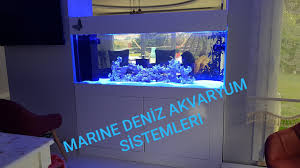 Marine Akvaryum Deniz Akvaryumu Resif Akvaryumu Tuzlu Su Akvaryumu Akvaryum Imalati