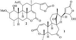 Image result for Ptaeroxylaceae