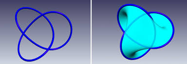 Image result for seifert surface