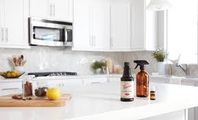 Take a look at the ingredients list of any commercial we typically use harsh cleansers to disinfect and clean our homes, not paying much attention to the 3. Non Toxic Home Cleaning Body Wisdom Nutrition