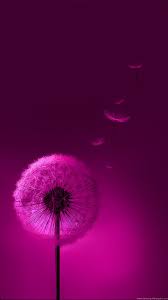 Awesome Lock Screen Wallpaper Dandelion Wallpaper Pink Wallpaper Flower Wallpaper
