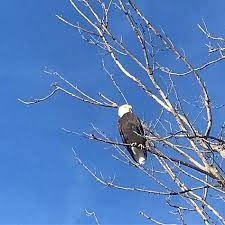 37 Rv Ideas Rv Travel Trailer Camping Rv Camping