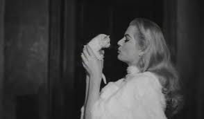 La Dolce Vita 1960 Cinema Cats