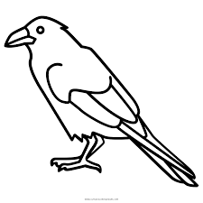 Cartoon illustration of crow or raven black bird. Raven Coloring Page Ultra Coloring Pages