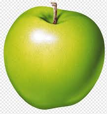 Gambar sketsa buah apel mania yakni mewarnai coloringpages. Apple Fruit Food Fruit Fruit Sketch Beautifully Green Apple Food Orange Granny Smith Png Pngwing
