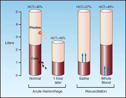 Image result for Blood Volume