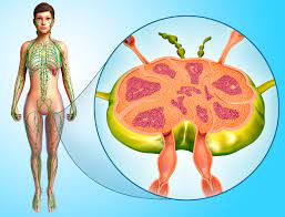 Signs and symptoms of testicular cancer include: Do Enlarged Lymph Nodes Offer Clues About Cancer