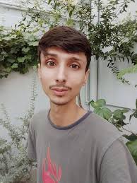 Growing David Austin's Miss Eustacia Vye Rose