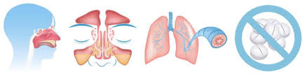 Image result for Allergic Triad