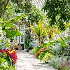 Restoration of the iconic enid a. What S Beautiful Now The Haupt Conservatory Reopened New York Botanical Garden