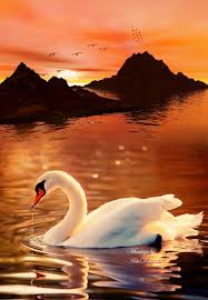 Image result for Adriana Agresti, Frank Agresti,
