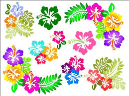 Edible before putting edible flowers onto cakes, you will need to prepare them. 10 X 7 5 Hibiscus Flower Cake Toppers Decorations On Edible Wafer Rice Paper Buy Online In Bosnia And Herzegovina At Bosnia Desertcart Com Productid 13463110