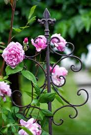 Pin Von Sonja Muller Gollner Auf Flower Power Rosa Garten Englische Rosen Rosengarten
