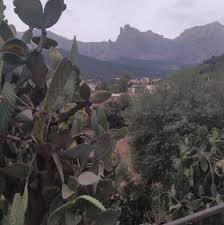 Check spelling or type a new query. Ouacif Tizi Ouzou Home Facebook