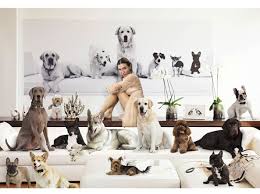 Il 26 agosto è la giornata internazionale del cane, celebrata per la prima volta nel 2004 negli stati uniti, per iniziativa dell'esperta di . Giornata Mondiale Del Cane 2019 Dagli Stilisti Di Fama Mondiale Alle Star Italiane Hanno Nei Loro Cuccioli I Veri Compagni Di Vita Corriere It