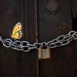 The Locked Barn Escape Room
