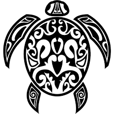 Native American Design Turtle Form Drawing Local Geography History Native American Symbols American Symbols Animal Symbolism