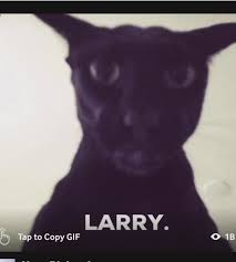 Image result for larry