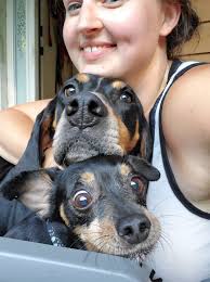 How about Abram? Can he be a farm dog? Lol 🤣