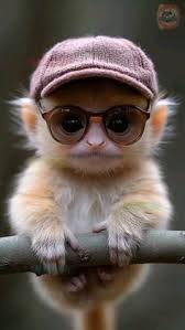 180 Tattoo Ideas in 2025