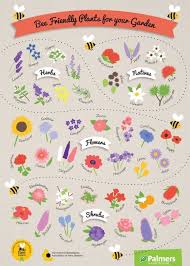 Savethebees Bee Friendly Plants Bee Friendly Garden Bee Friendly