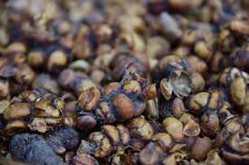 Luwak or civet coffee still the most expensive coffee at this moment, with around $31.00 per ounce or $109.00 each 100g. Health Risks Animal Abuse Behind Coffee Made From Excreted Berries Cgtn