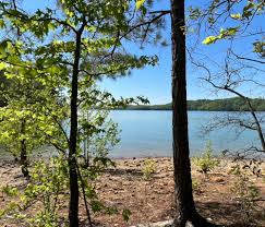 Summer is in full swing here at Dale...