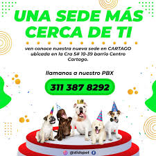 Dido Veterinaria Cartago