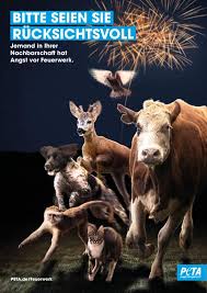 Bitte spendet das Geld lieber für Tiere statt es für Böller auszugeben  🙏🙏🙏