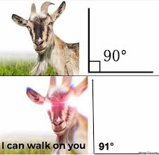 At 91 Degree Goat I Can Walk On You Meme Memezila Com