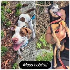 Instagram photo by Elizabeth Trindade Alves • Mar 17, 2025 at 11:31 AM